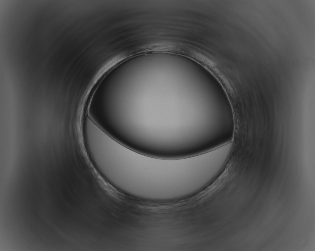 X0000088141426200705141023