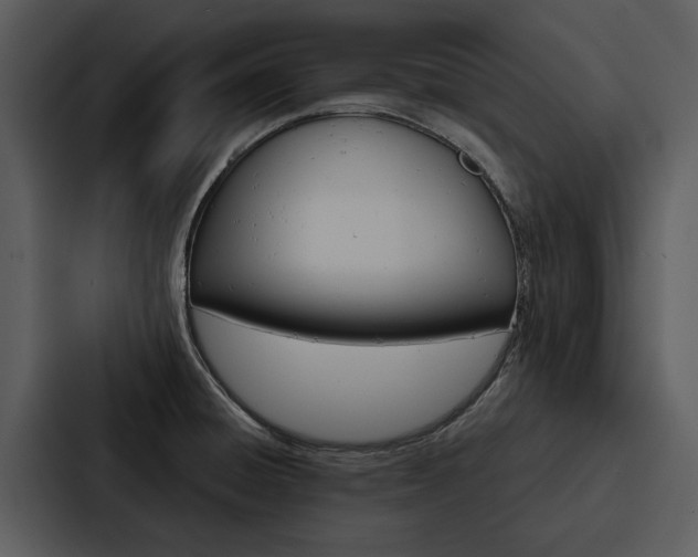 X0000088141428200705141023