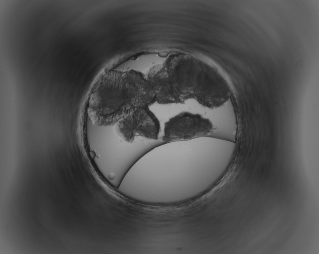 X0000088141429200705141023