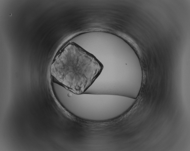 X0000088141431200705141023