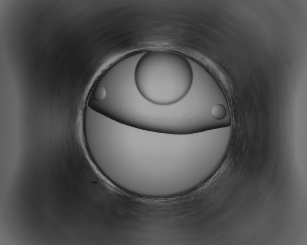 X0000088141432200705141023
