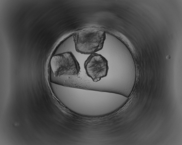 X0000088141435200705141023
