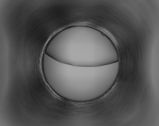 X0000088141436200705141023