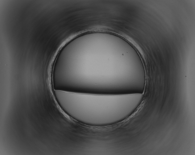 X0000088141437200705141023