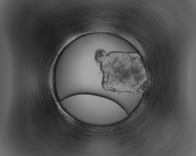 X0000088141439200705141023