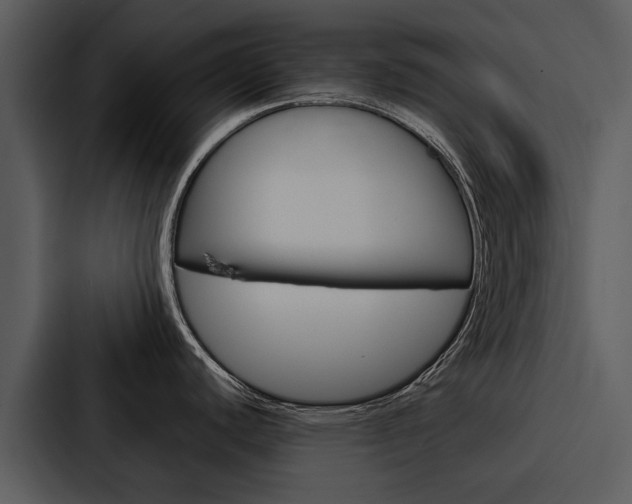 X0000088141440200705141023