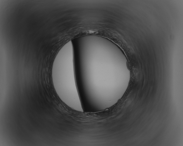 X0000088141442200705141022
