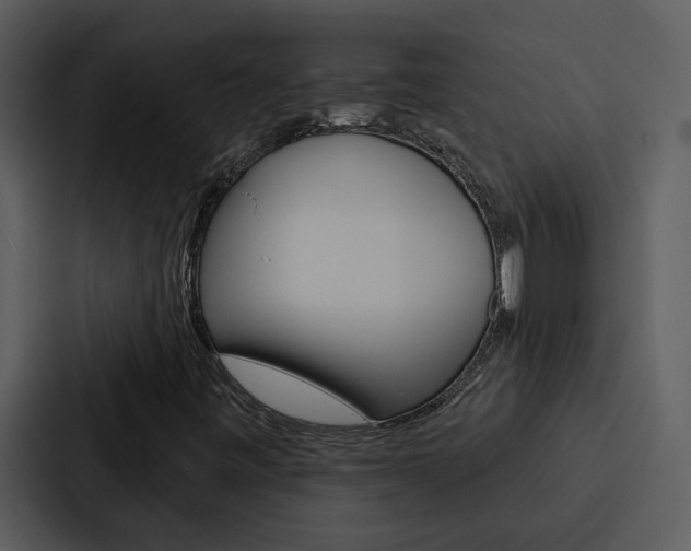 X0000088141443200705141022