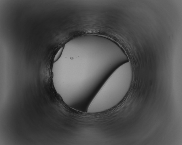 X0000088141444200705141022
