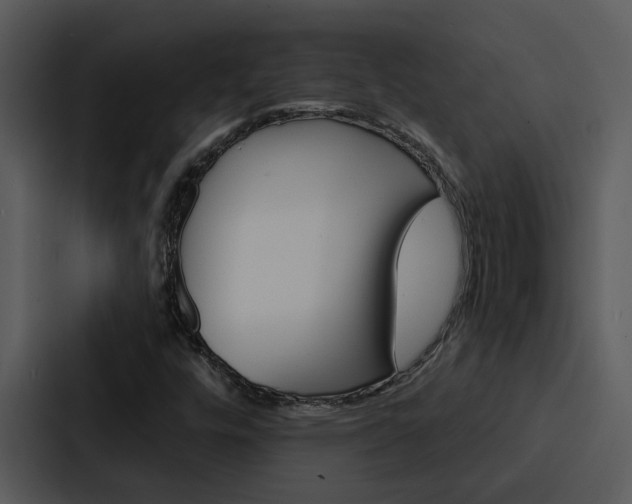 X0000088141448200705141022