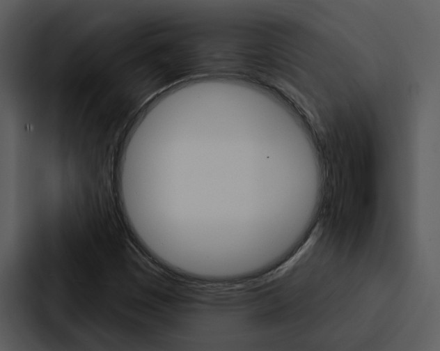 X0000088141449200705141022