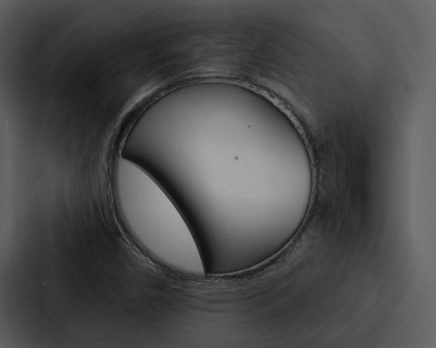 X0000088141450200705141022