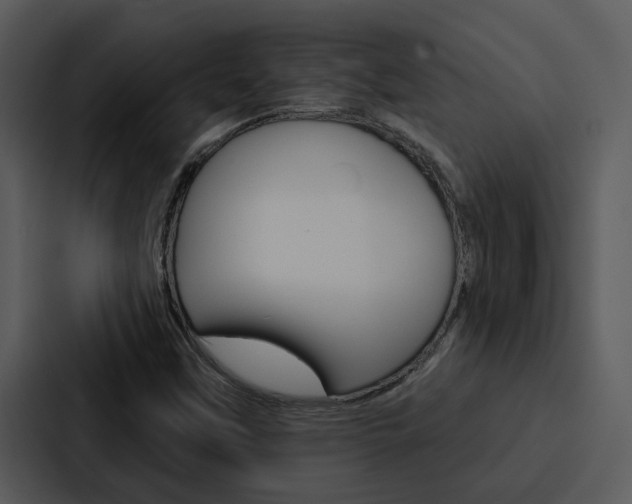 X0000088141451200705141022