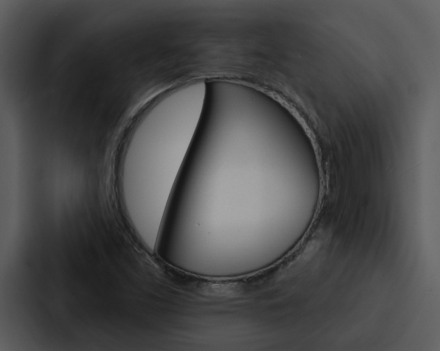 X0000088141453200705141022