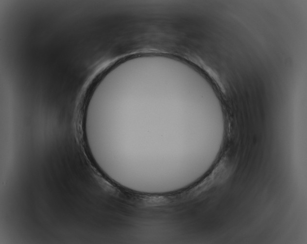 X0000088141454200705141022