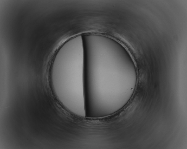 X0000088141455200705141022