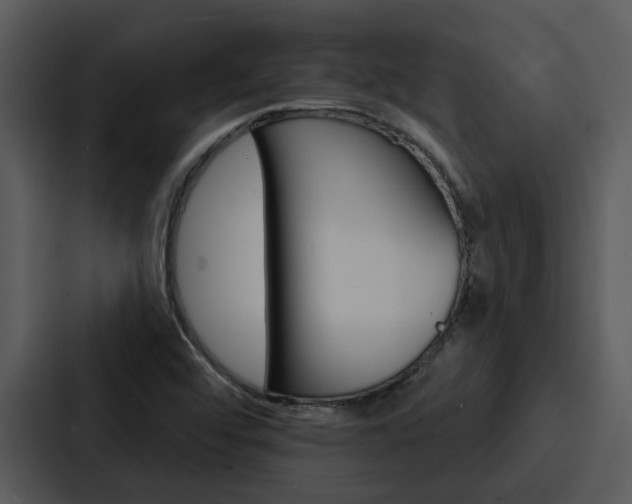 X0000088141456200705141022
