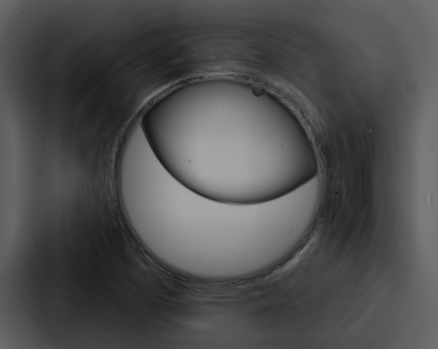 X0000088141457200705141022