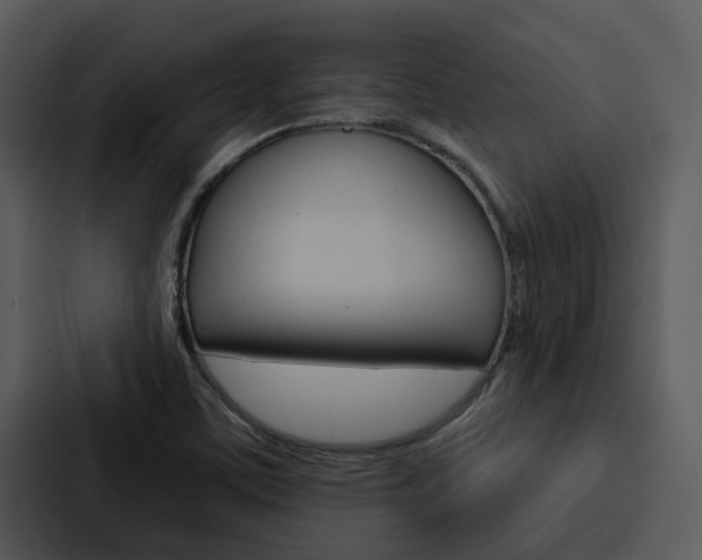 X0000088141459200705141022