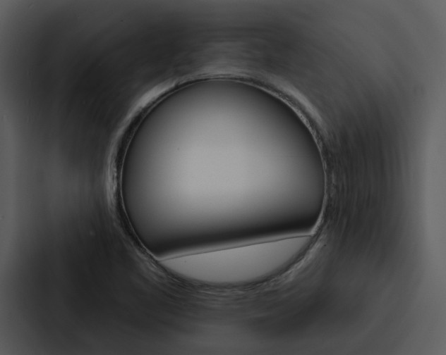 X0000088141461200705141022