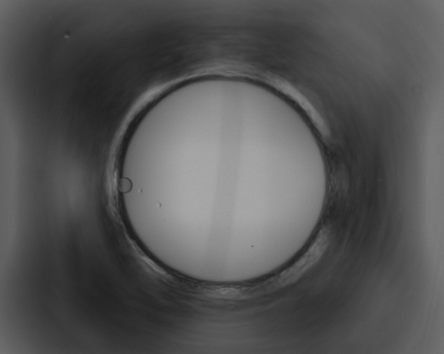 X0000088141462200705141022