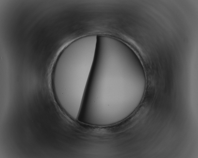 X0000088141463200705141022