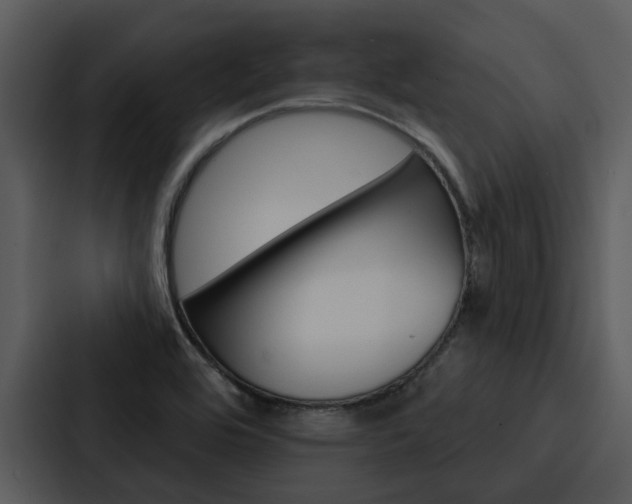 X0000088141464200705141022