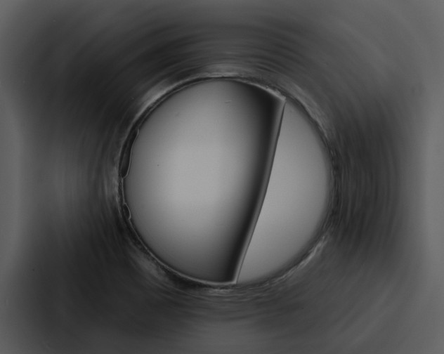 X0000088141465200705141022