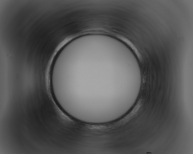 X0000088141466200705141022