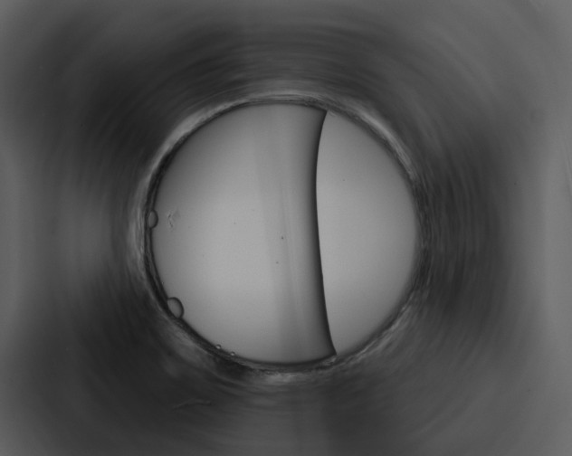 X0000088141467200705141022