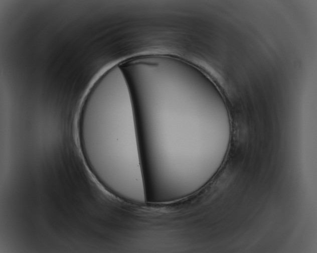 X0000088141468200705141022