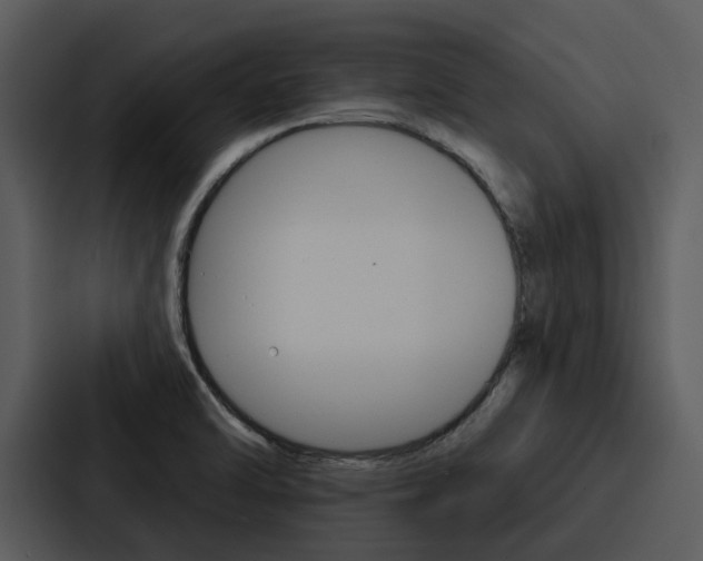 X0000088141470200705141022