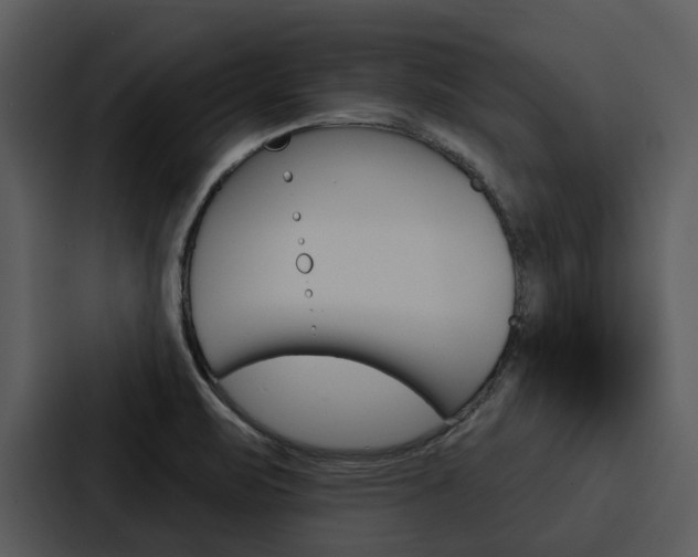X0000088141471200705141022