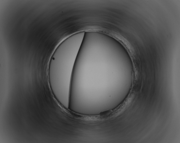 X0000088141473200705141022