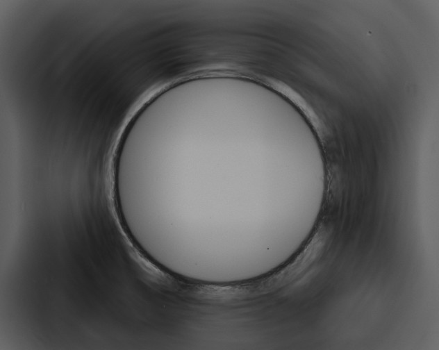 X0000088141474200705141022