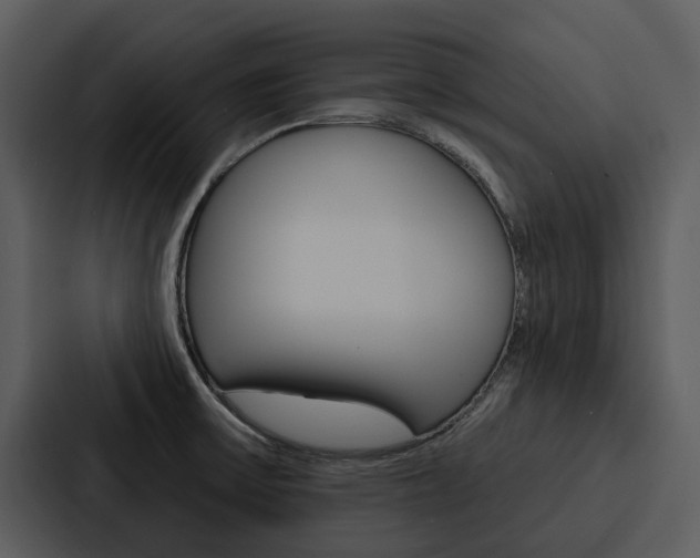 X0000088141475200705141022