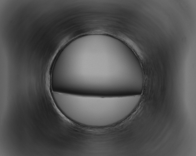 X0000088141476200705141022