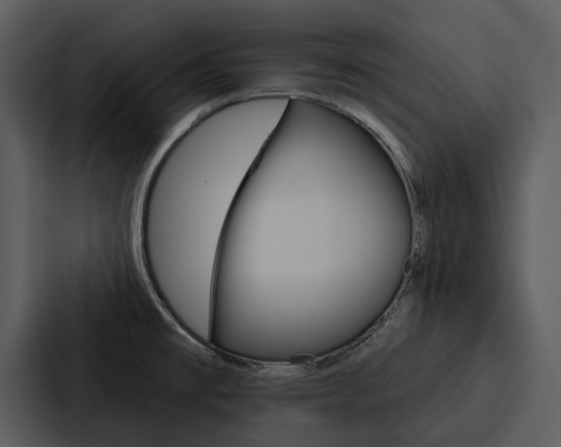 X0000088141477200705141022