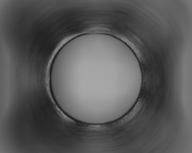 X0000088141478200705141022