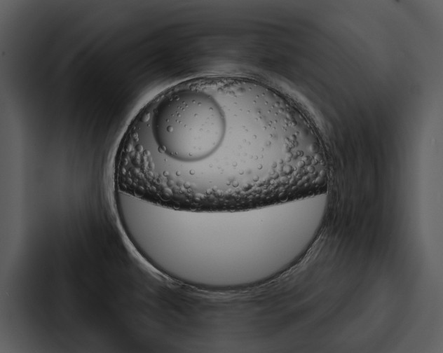 X0000088141479200705141022
