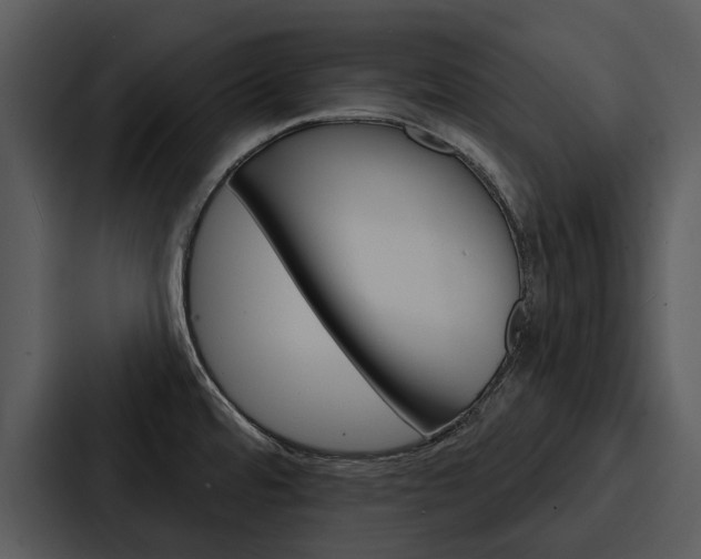 X0000088141480200705141022