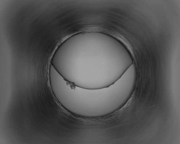 X0000088141481200705141022