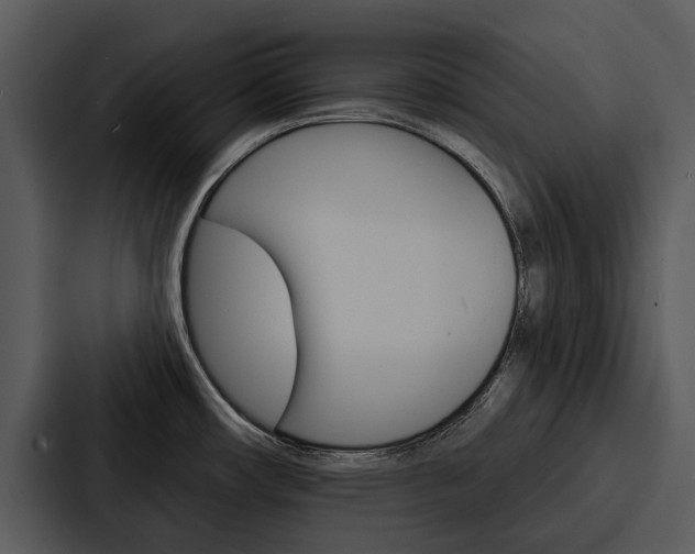 X0000088141482200705141022