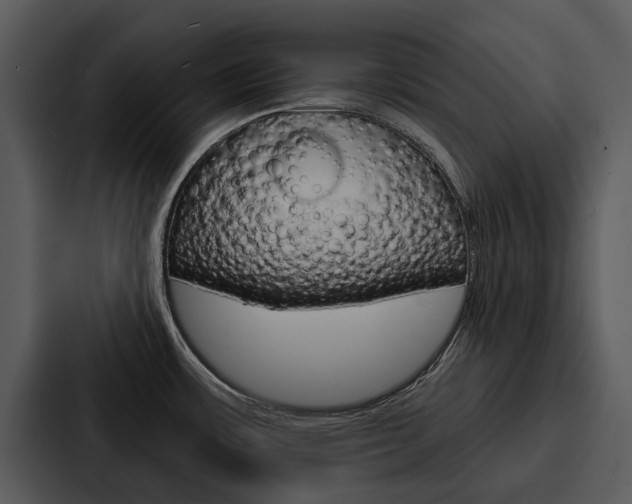 X0000088141483200705141022