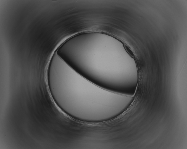 X0000088141484200705141022