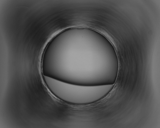 X0000088141485200705141022