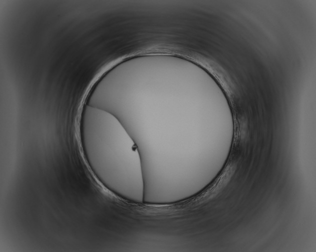 X0000088141486200705141022