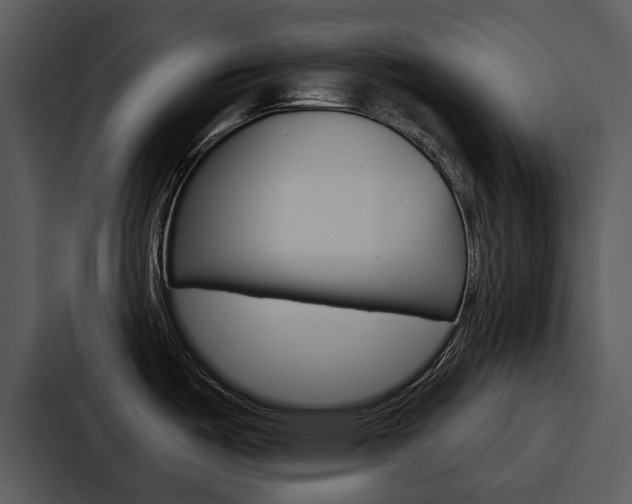 X0000088141487200705141022