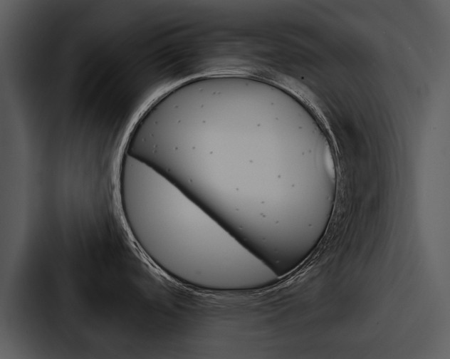 X0000088141488200705141022
