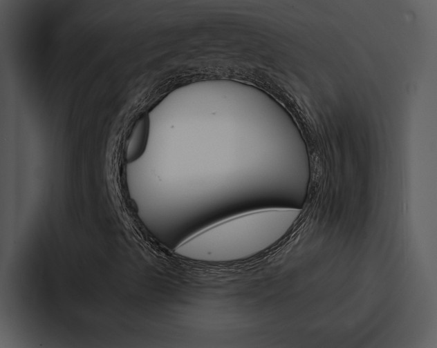 X0000088141489200705141021